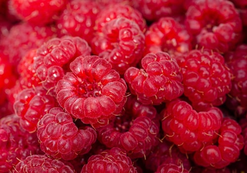 অলিভ ওয়েল ১০০ গ্রাম